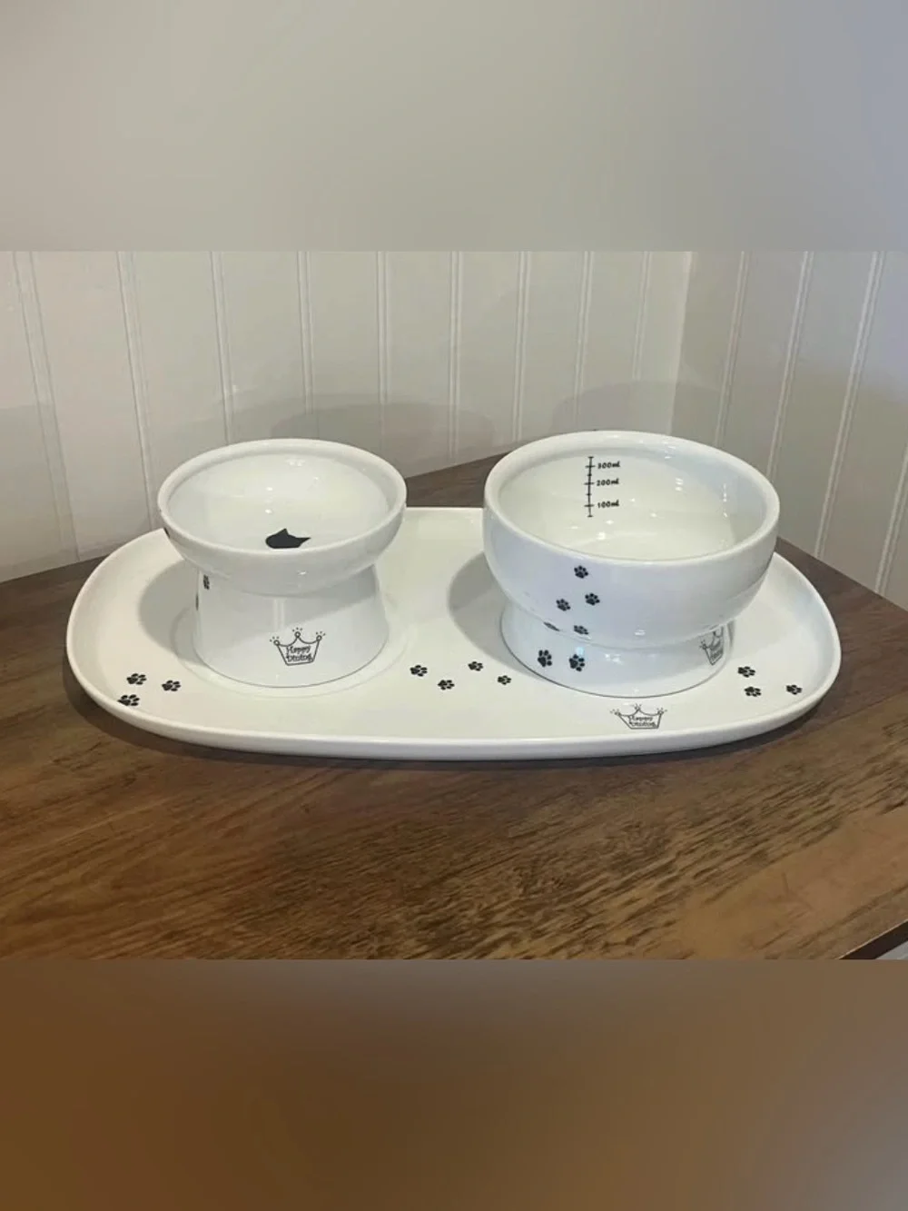 ELEVATED CAT BOWLS WITH DISH